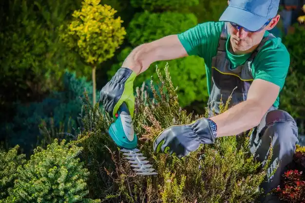 landscaping services Galena